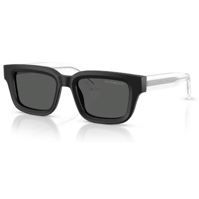 Emporio Armani EA4270 Sunglasses